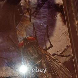 The Walking Dead #9 CGC 9,4 Signature Series signé par Kirkman et Adlard